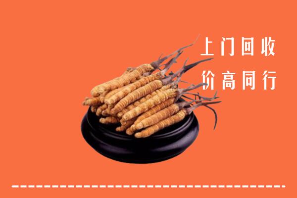 高价求购：昆明市石林回收散虫草