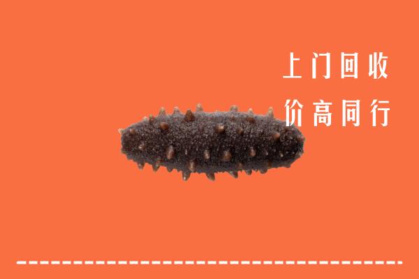 高价求购：昆明市石林回收海参