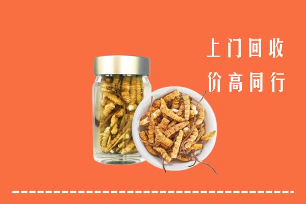 昆明市石林回收冬虫夏草