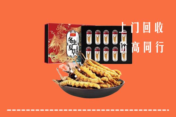昆明市石林回收虫草